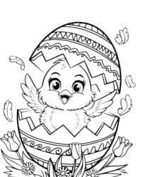 Chick Hatching from Easter Egg