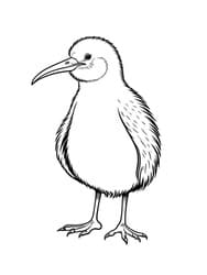 Kiwi Bird on Forest Floor coloring preview