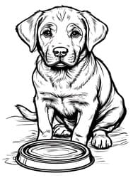 Labrador Puppy with Bowl coloring preview