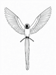 Macaw Parrot Displaying Wings coloring preview