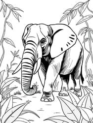 Elephant in Jungle