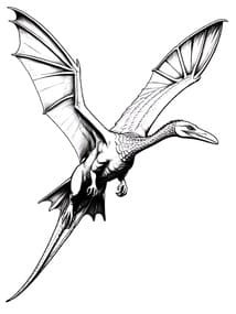 Flying Pteranodon coloring preview