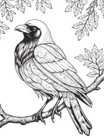 Raven Perched on Autumn Branch Printable Page