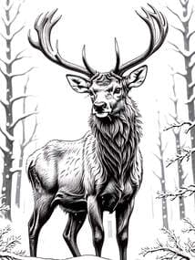 Winter Stag in Snowy Forest coloring preview