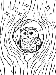 Owl Peeking from Tree coloring preview