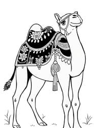 Ornate Decorated Camel