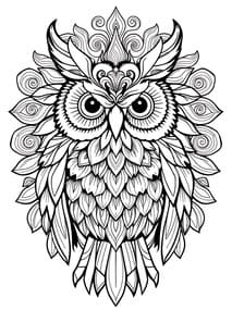 Detailed Floral Owl Mandala coloring preview