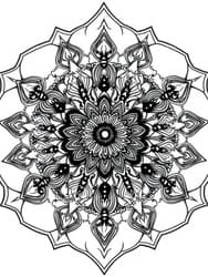 Ornate Peacock Mandala