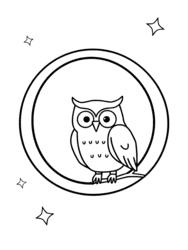 Owl Perched in Letter O coloring preview