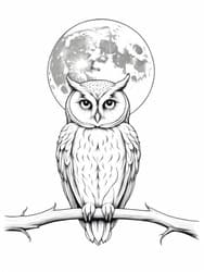 Owl Perched Under Full Moon coloring preview