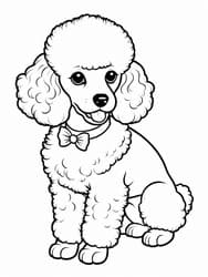 Poodle with Bow Tie coloring preview