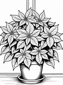Festive Poinsettia in Pot coloring preview