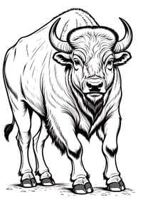 American Bison with Shaggy Fur Coloring Page
