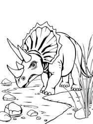 Triceratops by Riverside
