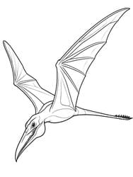 Pteranodon Soaring in Flight coloring preview