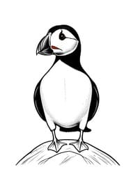 Puffin Standing on Cliff Ledge coloring preview