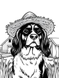 Puppy Wearing Sombrero on Farm