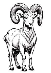 Ram with Thick Curled Horns Coloring Page