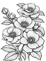 Ranunculus Flowers in Bunch coloring preview