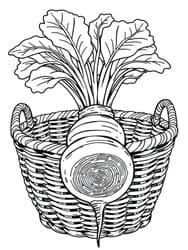 Round Beetroot in Basket coloring preview