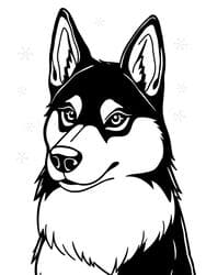 Husky Head in Winter coloring preview