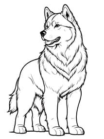 Siberian Husky Standing coloring preview