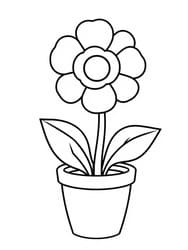 Daisy Blooming in Terracotta