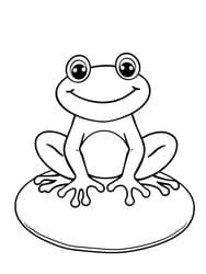 Frog with Webbed Feet on Pad