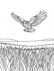Owl in Flight Over Horizon coloring preview