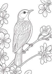 Songbird on Cherry Blossom Branch coloring preview