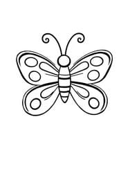 Spotted Butterfly with Antennae
