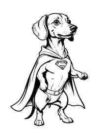 Superhero Dachshund in Cape coloring preview