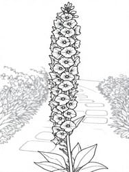 Foxglove Flower on Path coloring preview