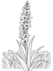 Tall Gladiolus Flower in Grass coloring preview