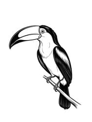 Toucan Clinging to Jungle Vine coloring preview