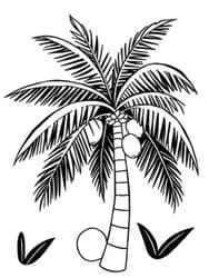 Tropical Palm Tree with Coconuts