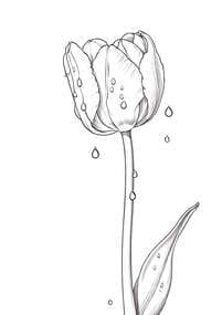 Single Tulip with Dew Drops coloring preview