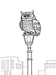 Owl on City Lamp coloring preview