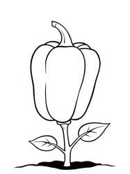 Bell Pepper on Stem coloring preview