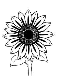 Vibrant Sunflower with Leaves