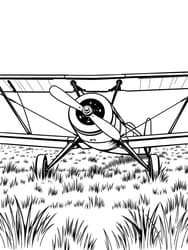 Vintage Biplane in Grass