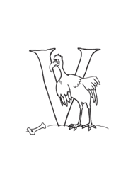 Vulture Spreading Wings by Letter V coloring preview