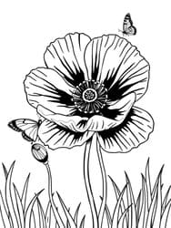 Poppy Flower with Butterflies