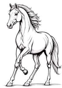Wild Horse Prancing
