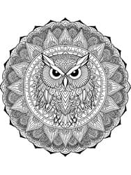 Wise Owl Full Moon coloring preview