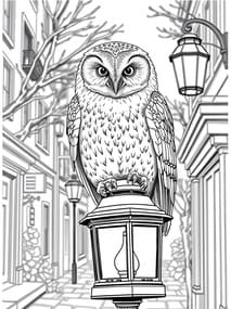 Owl on on Lantern in Winter Town coloring preview